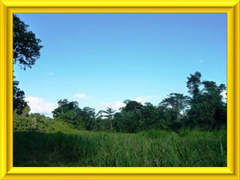 Mission Beach QLD 4852