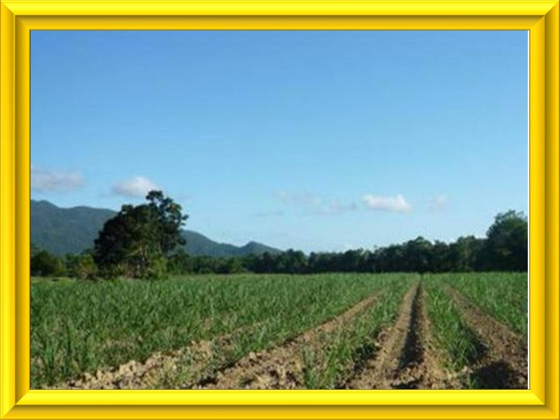 Mission Beach QLD 4852