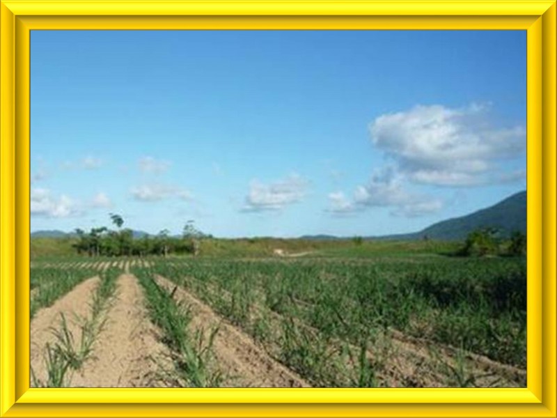 Mission Beach QLD 4852