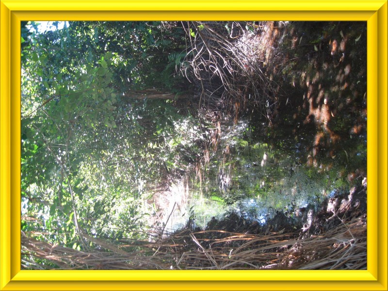 Mission Beach QLD 4852