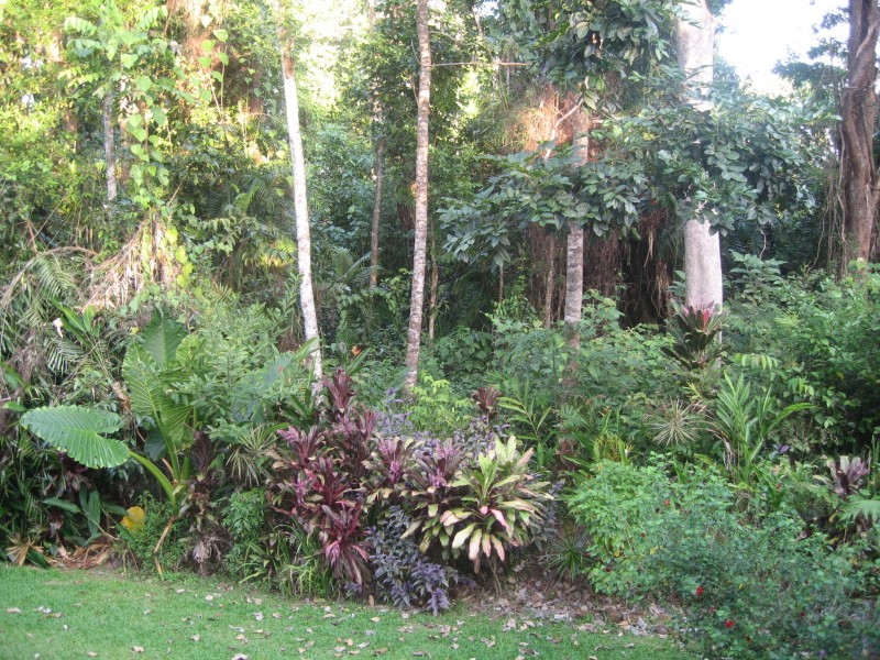 Mission Beach QLD 4852