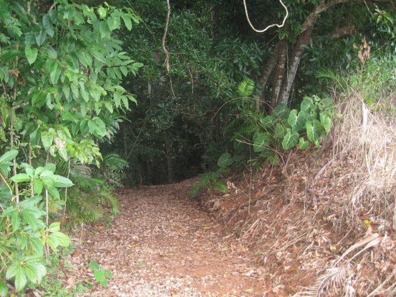 Mission Beach QLD 4852