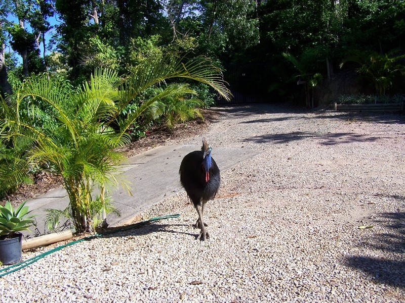 Mission Beach QLD 4852