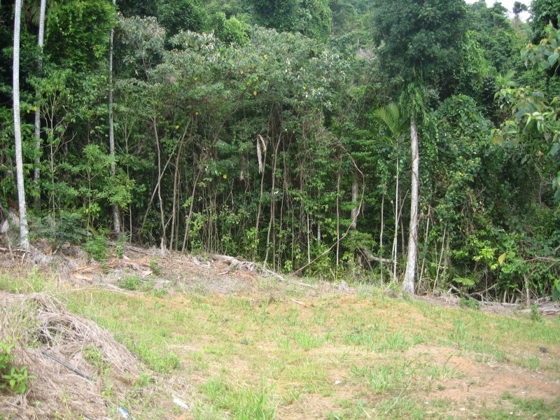 Mission Beach QLD 4852