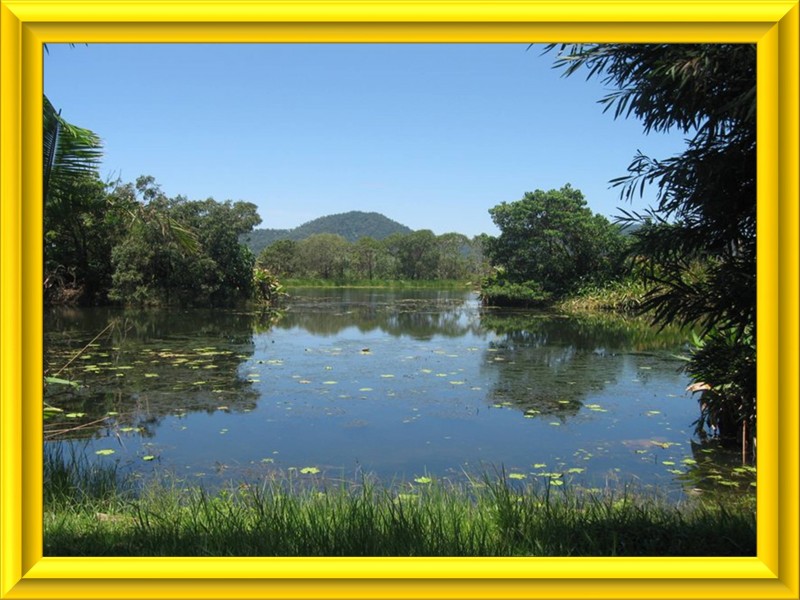 Mission Beach QLD 4852