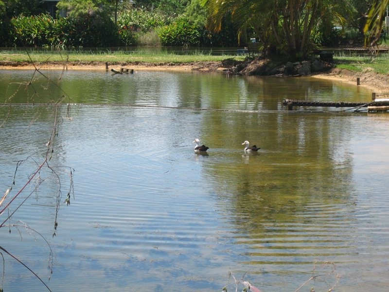 Mission Beach QLD 4852