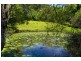 219 Cassidys Rd, Coffs Harbour NSW 2450