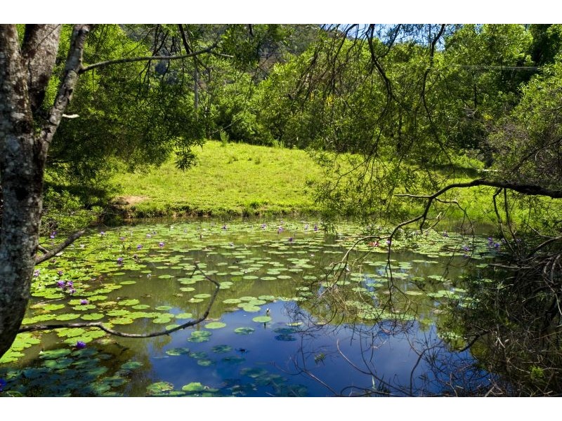 219 Cassidys Rd, Coffs Harbour NSW 2450