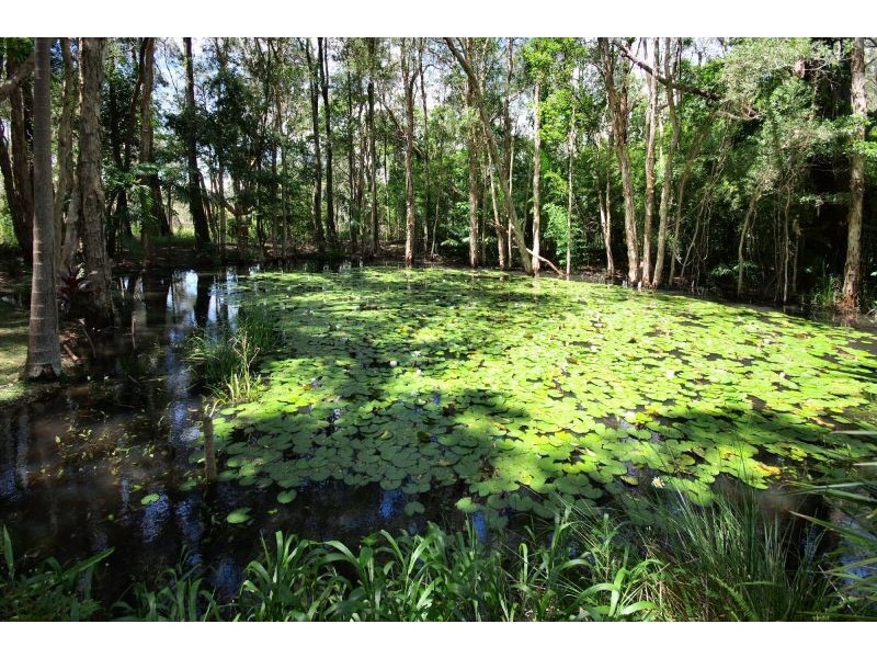 5/64 Sawtell Road, Toormina NSW 2452