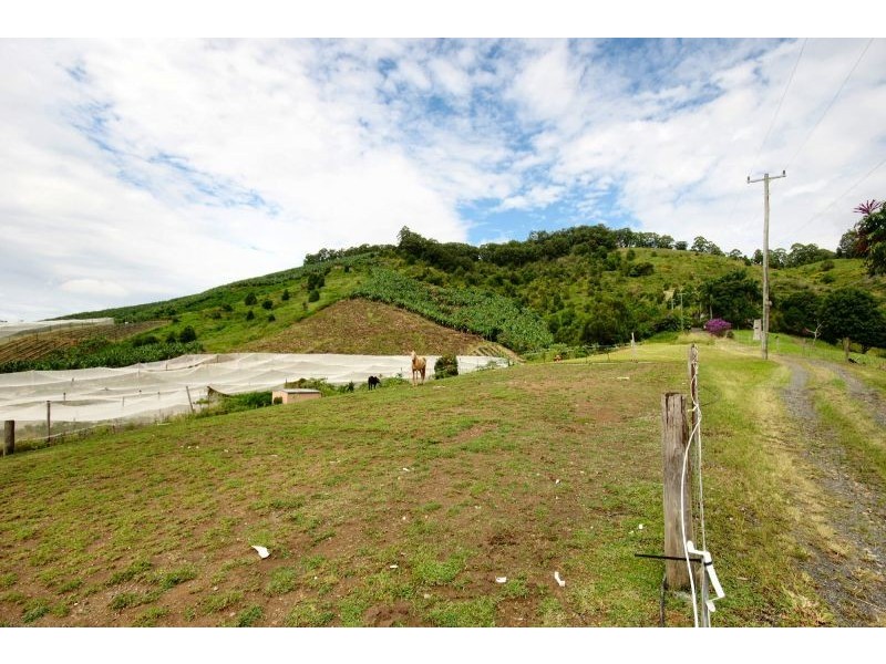 53 Bennetts Road, Coffs Harbour NSW 2450