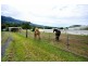 53 Bennetts Road, Coffs Harbour NSW 2450