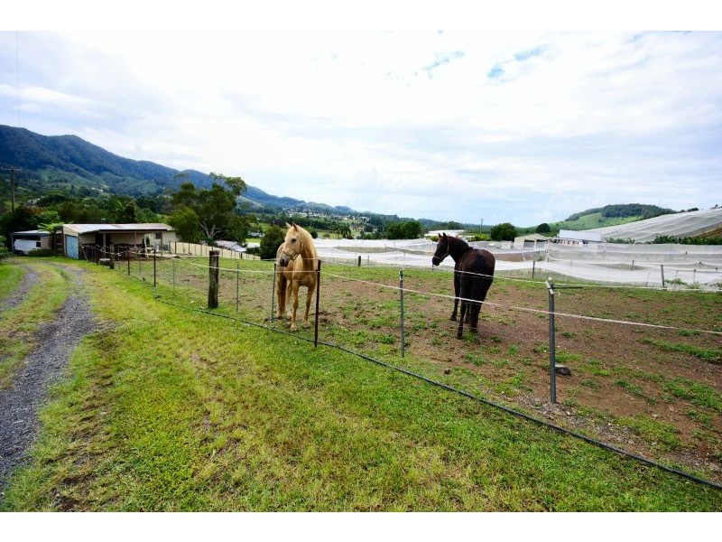 53 Bennetts Road, Coffs Harbour NSW 2450
