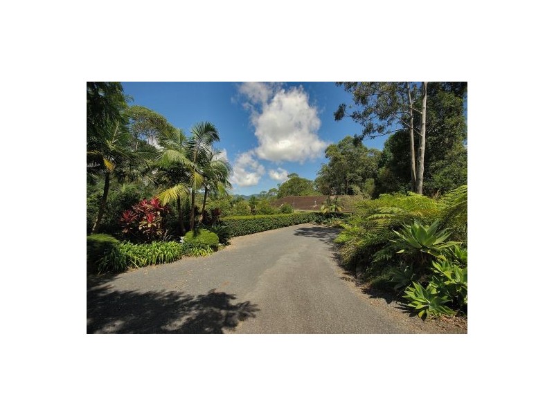 439 Mount Brown Rd, Upper Orara NSW 2450