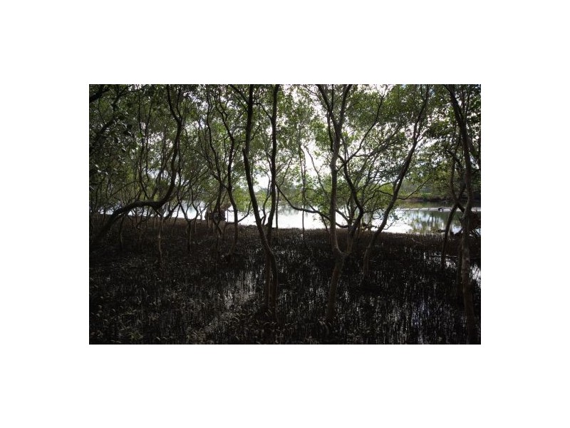 Lot 8 Lake Court, Urunga NSW 2455