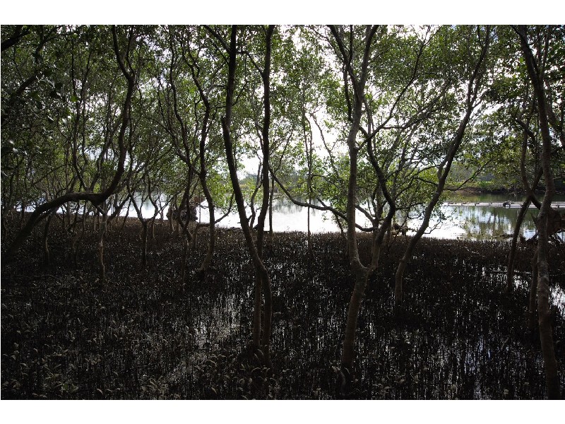 Lot 36 Lake Court, Urunga NSW 2455