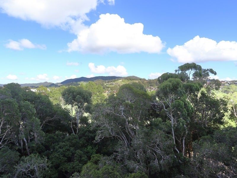 704/121 Ocean Prd, Coffs Harbour NSW 2450