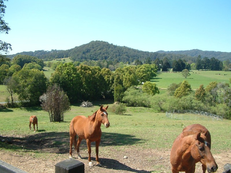Upper Orara NSW 2450