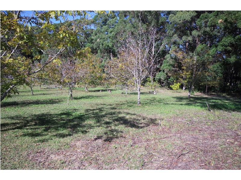 Coffs Harbour NSW 2450