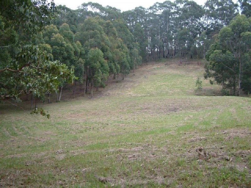 Emerald Beach NSW 2456
