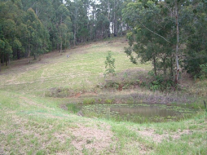 Emerald Beach NSW 2456