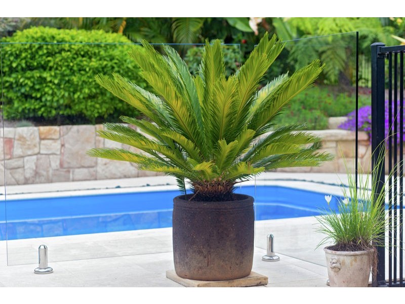 172 Braford Dr, Bonville NSW 2441