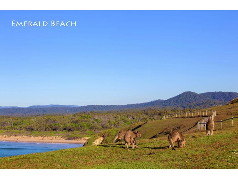 6 Lights Street, Emerald Beach NSW 2456