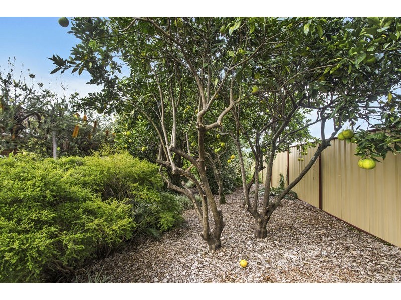 1 Airlie Cl, Coffs Harbour NSW 2450