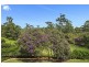 155 Shephards Ln, Coffs Harbour NSW 2450