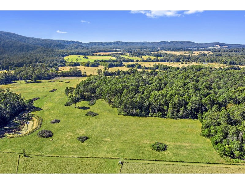 Lot 51 Randalls Rd, Bucca NSW 2450