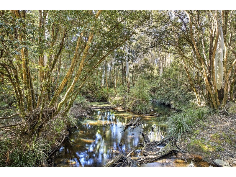 Lot 51 Randalls Rd, Bucca NSW 2450