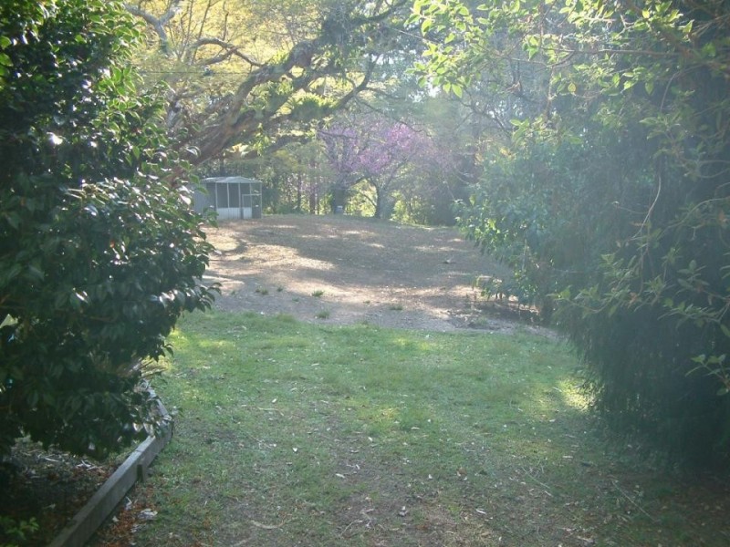 439 Mount Browne Road, Upper Orara NSW 2450