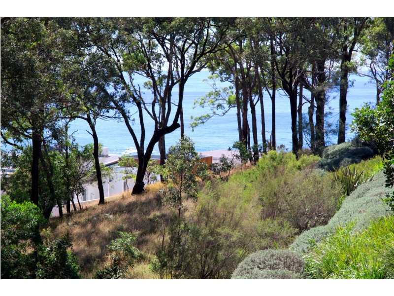 Coffs Harbour NSW 2450