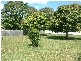 Sawtell NSW 2452
