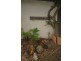 Coffs Harbour NSW 2450