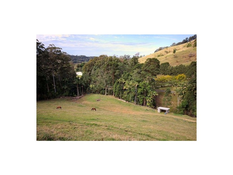 Boambee NSW 2450