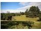 780C Gleniffer Rd, Bonville NSW 2441