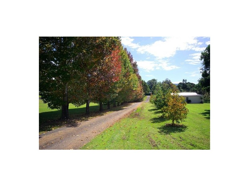 215A Braford Drive, Bonville NSW 2441