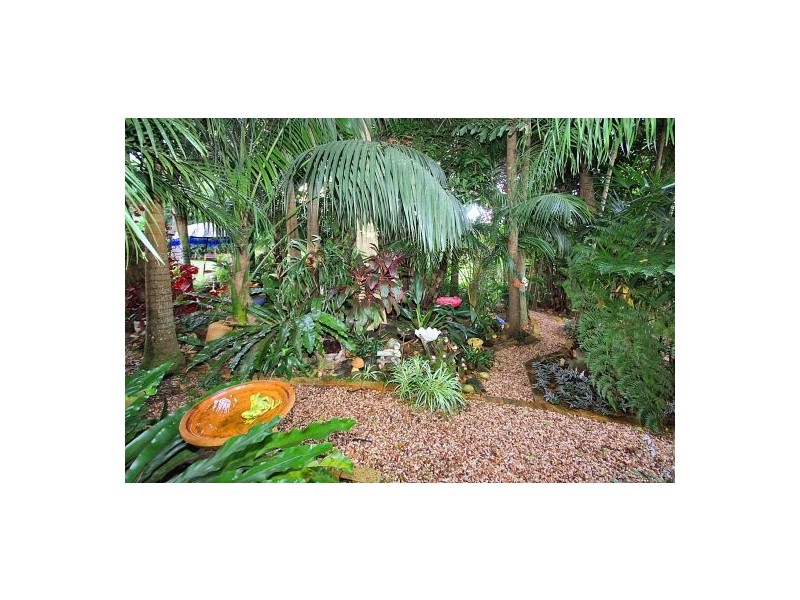 1316 Bowraville Road, Bellingen NSW 2454