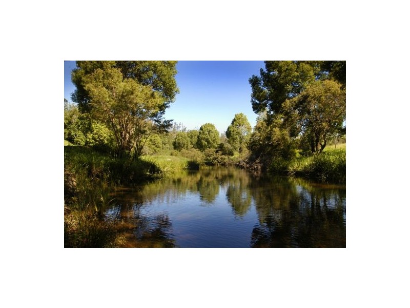 1316 Bowraville Road, Bellingen NSW 2454