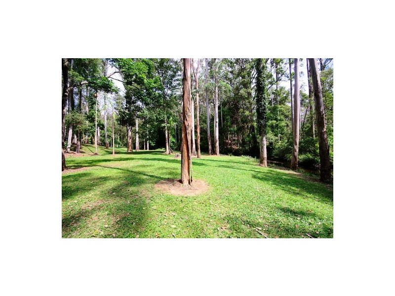 223 Braford Dr, Bonville NSW 2441