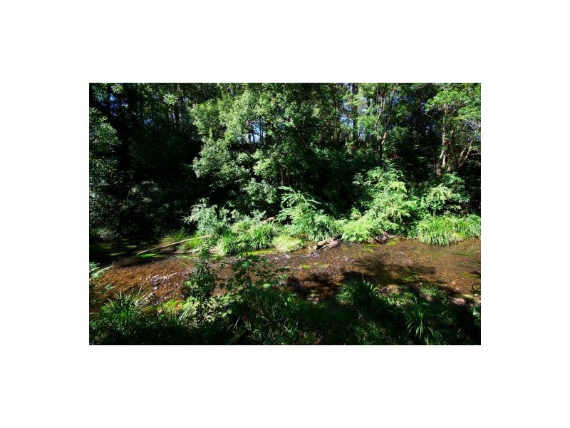 191 Braford Drive, Bonville NSW 2441