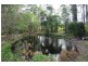 98 Old Bucca Rd, Moonee Beach NSW 2450