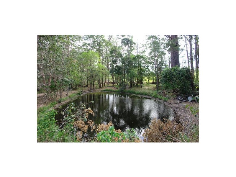 98 Old Bucca Rd, Moonee Beach NSW 2450