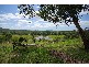 217 Greys Road, Halfway Creek NSW 2460