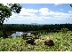 217 Greys Road, Halfway Creek NSW 2460