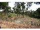 217 Greys Road, Halfway Creek NSW 2460