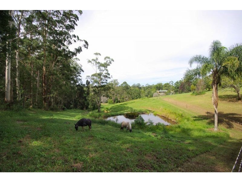 28 Forest Drive, Repton NSW 2454