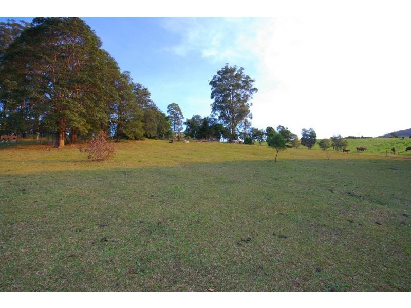 335 Crossmaglen Rd, Bonville NSW 2441