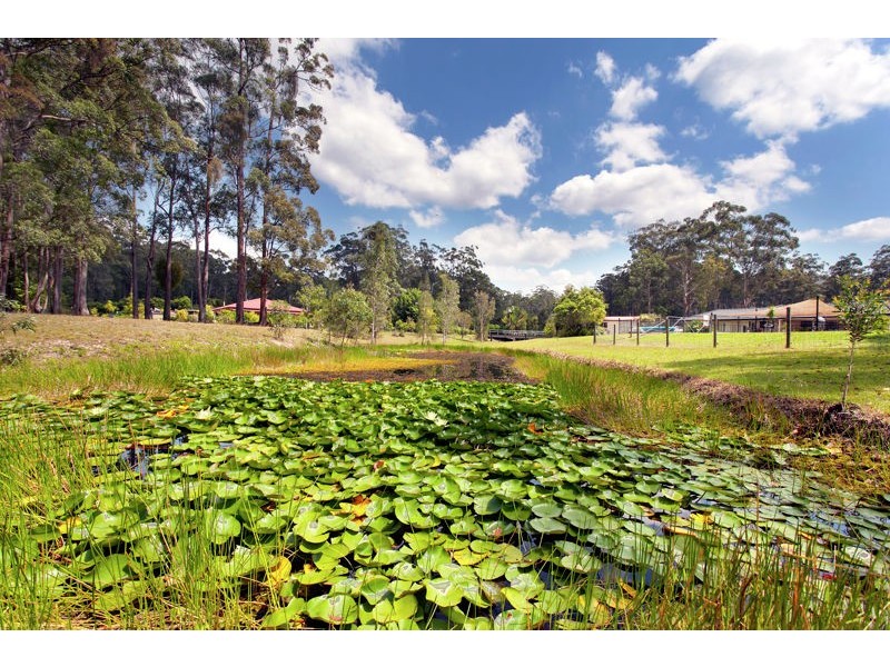 17 Lyndhurst  Close, Moonee Beach NSW 2450