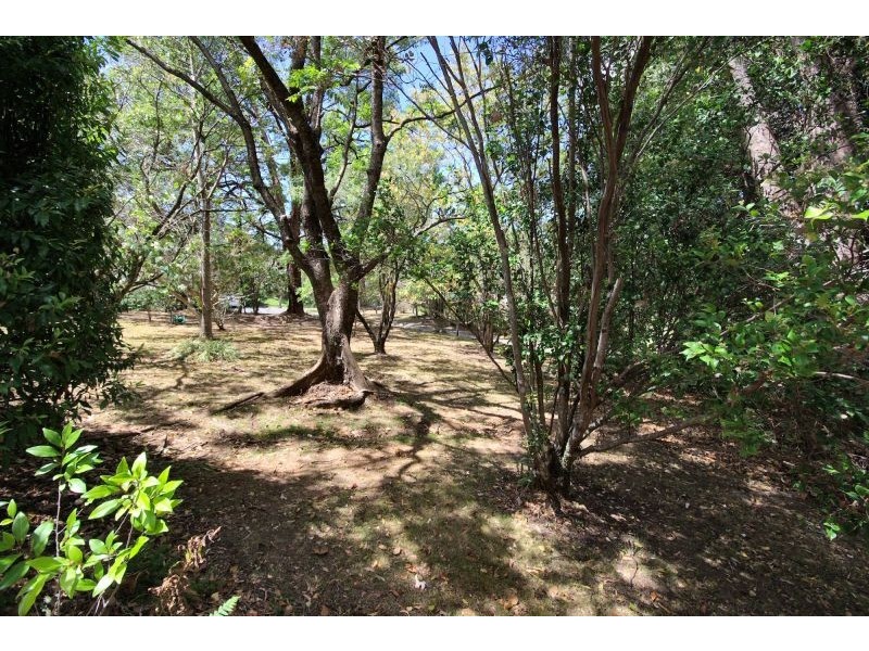 289 Middle Boambee Rd, Boambee NSW 2450